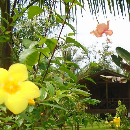 J And H Garden Cabinas Bocas Town Exterior photo