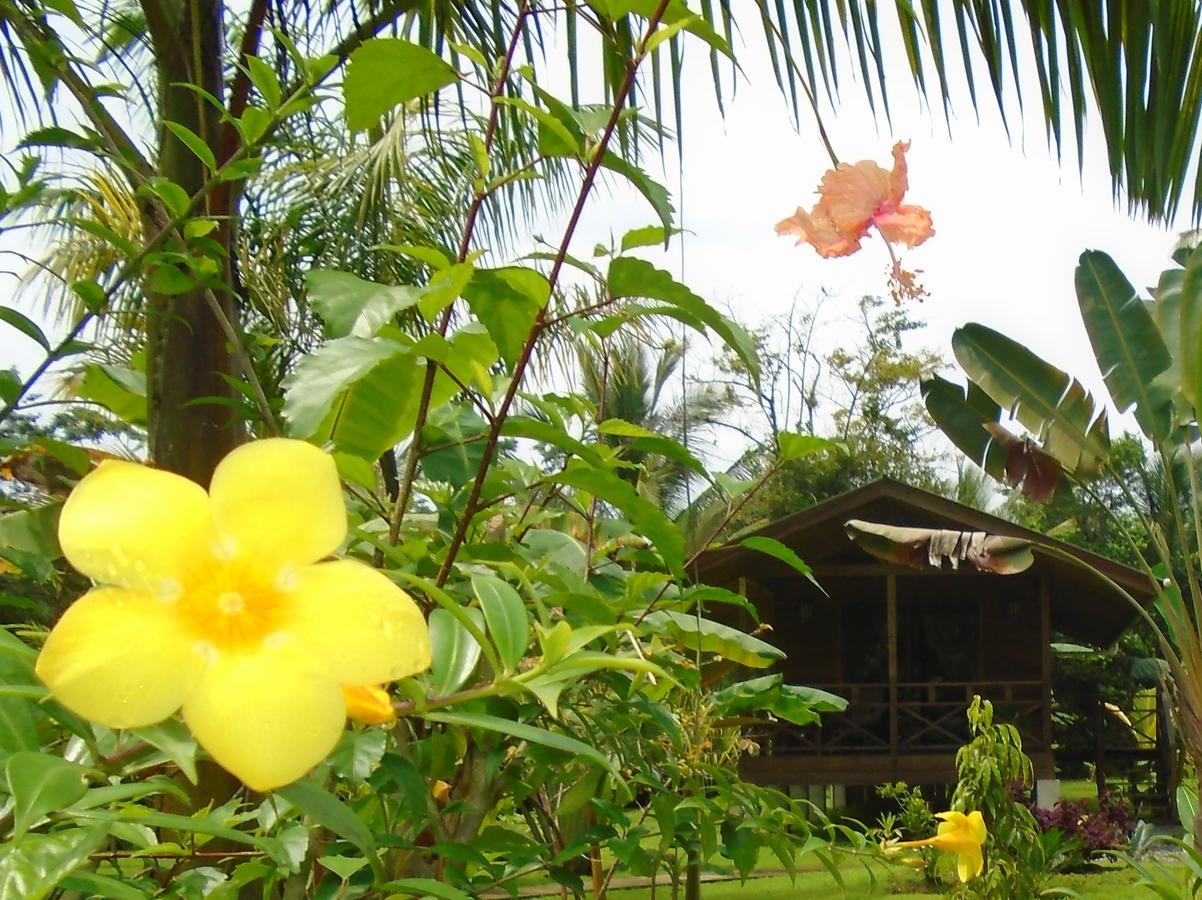 J And H Garden Cabinas Bocas Town Exterior photo